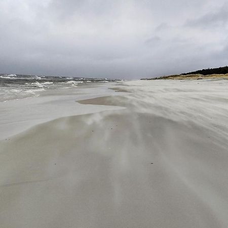 Marina Sasino - Komfortowe Domy Z Sauna I Kominkami Bagian luar foto