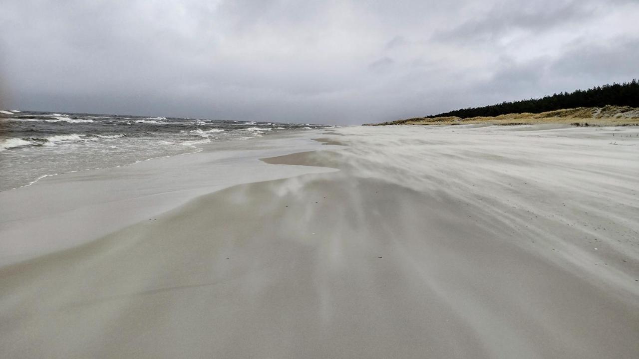 Marina Sasino - Komfortowe Domy Z Sauna I Kominkami Bagian luar foto