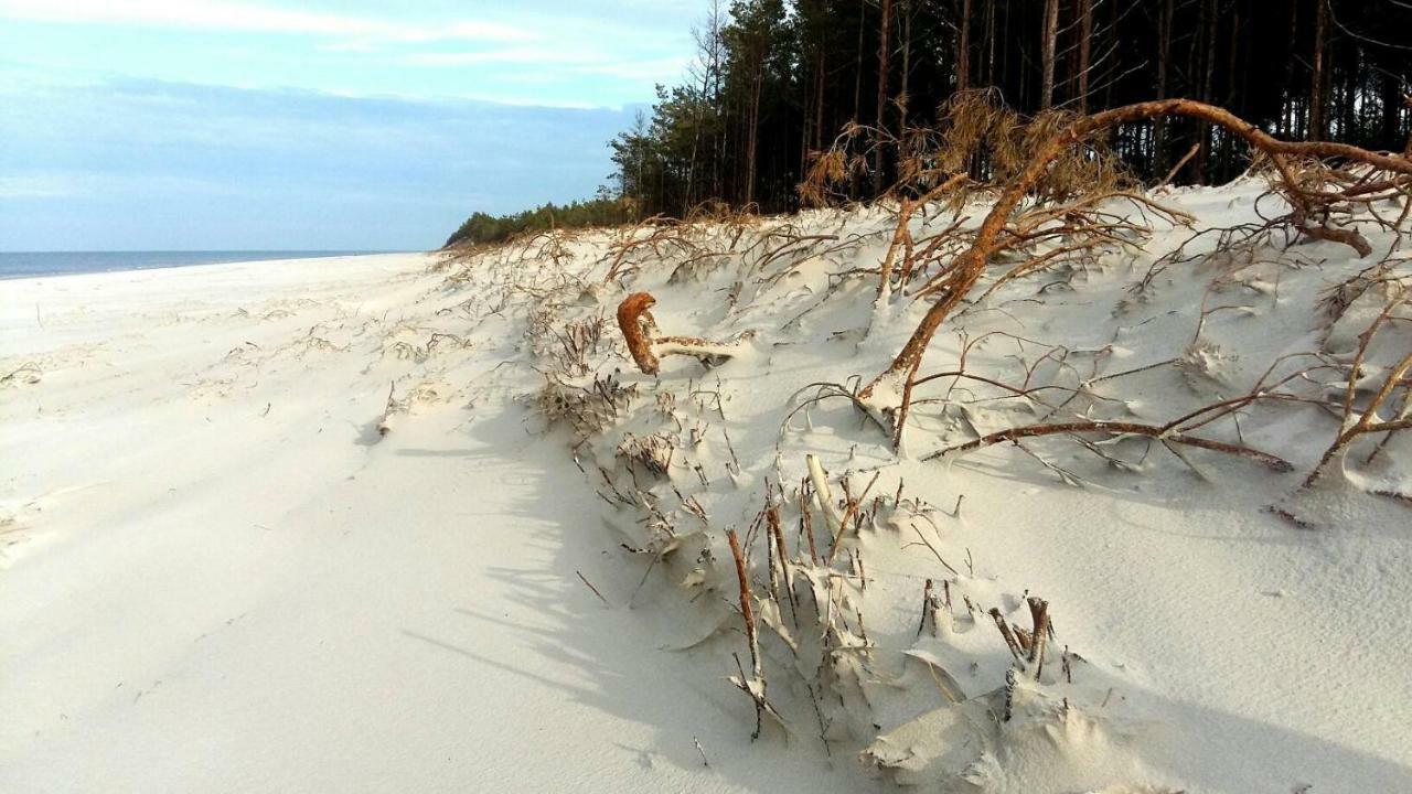 Marina Sasino - Komfortowe Domy Z Sauna I Kominkami Bagian luar foto